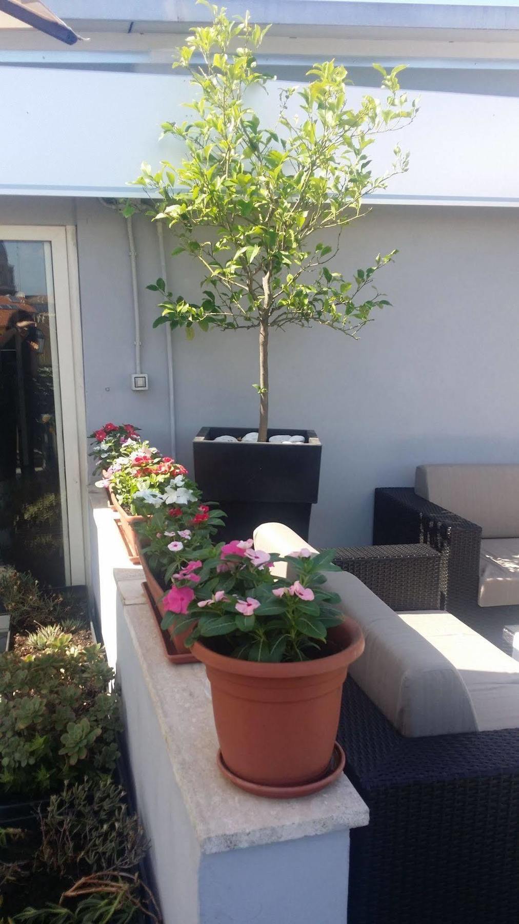 רומא Hotel Gravina San Pietro מראה חיצוני תמונה